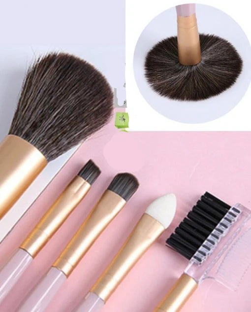 5 Pieces Makeup Brush Set