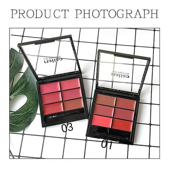 **Maliao 6 Color Lip Palette 9g M180**