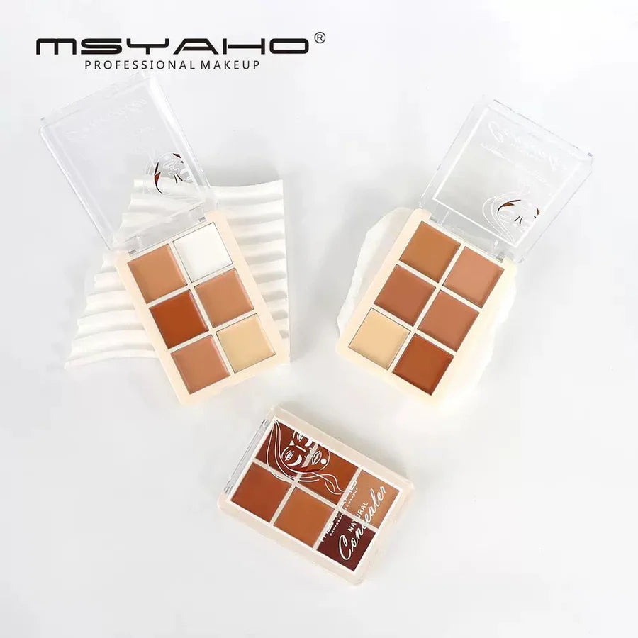MSYAHO Professional Natural Concealer Palette Display