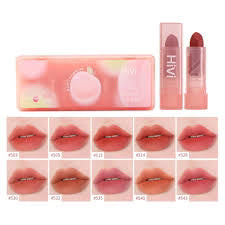 HiVi 10 Pcs Peach Soft Light Matte Lipstick Set